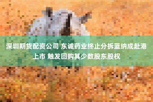 深圳期货配资公司 东诚药业终止分拆蓝纳成赴港上市 触发回购其少数股东股权